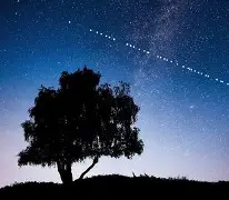 开云APP-建筑中标查询网站